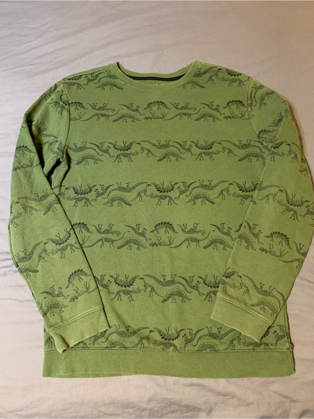 Cat & Jack Green Dinosaur Crewneck